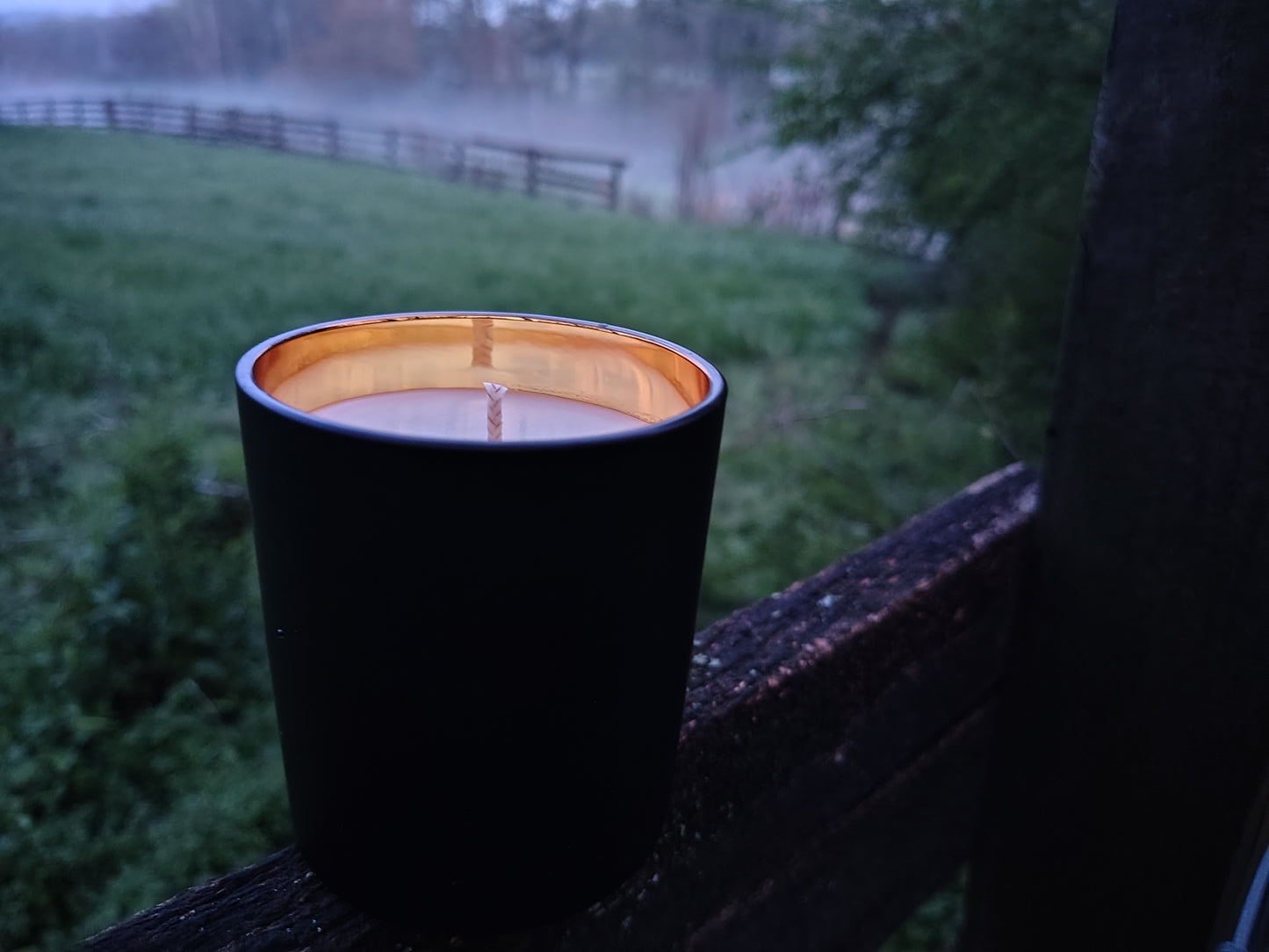 Jump the Fence - Limited